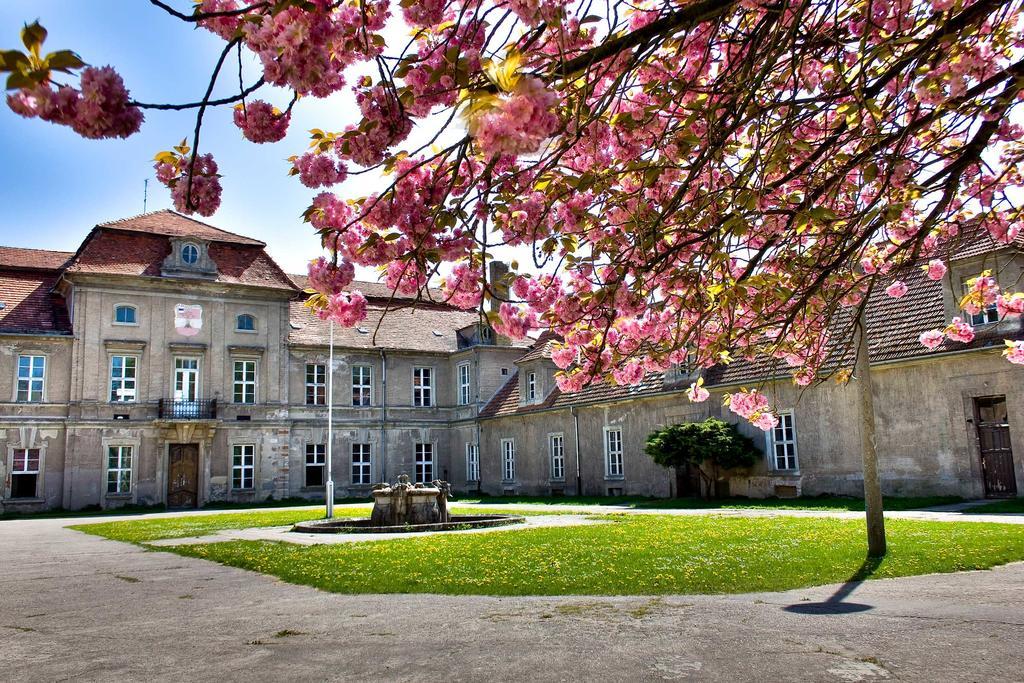 Gaestehaus Schloss Plaue 브란덴부르크 외부 사진